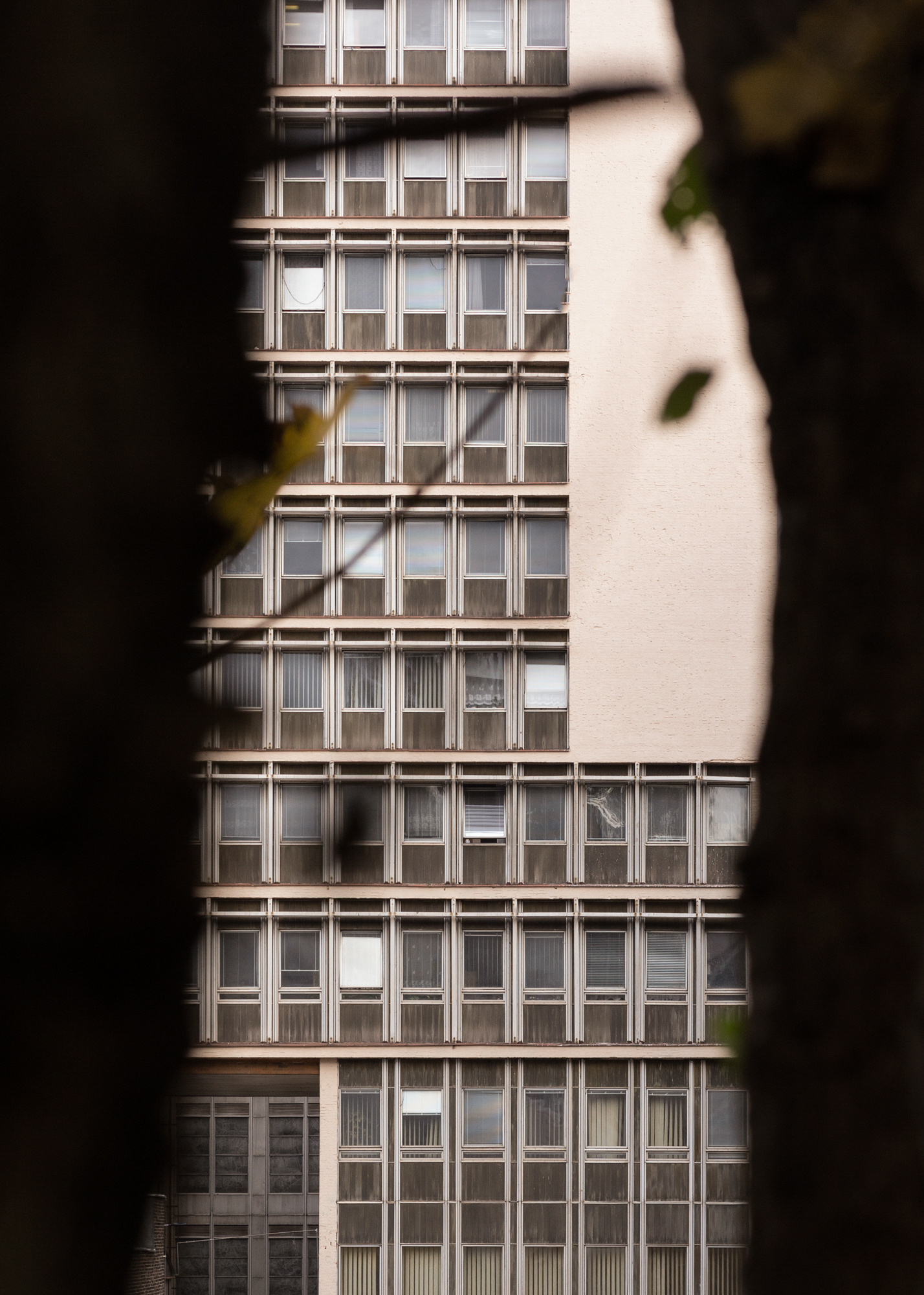 IMA_Dobrescu-5